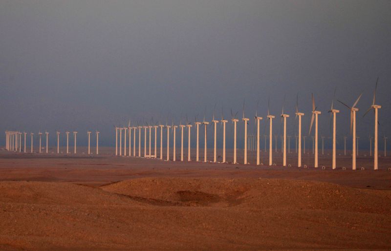 &copy; Reuters. توربينات لتوليد الطاقة من الرياح على طريق السويس خارج القاهرة. صورة من أرشيف رويترز.
