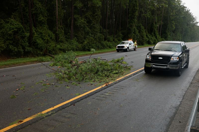 &copy; Reuters. شجرة واقعة على الطريق السريع بعد إعصار إداليا  في فلوريدا بالولايات المتحدة يوم الأربعاء. تصوير: بيلو- رويترز.
