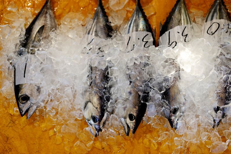 &copy; Reuters. Leilão de atum no porto de Kure, na cidade de Nakatosa, Japão
14/05/2022
REUTERS/Kim Kyung-Hoon