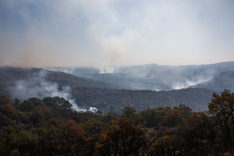 &copy; Reuters. دخان متصاعد جراء حرائق الغابات في حديقة داديا الوطنية في منطقة إيفروس باليونان يوم 29 أغسطس آب 2023. تصوير: الكسندروس افراميديس - رويترز.