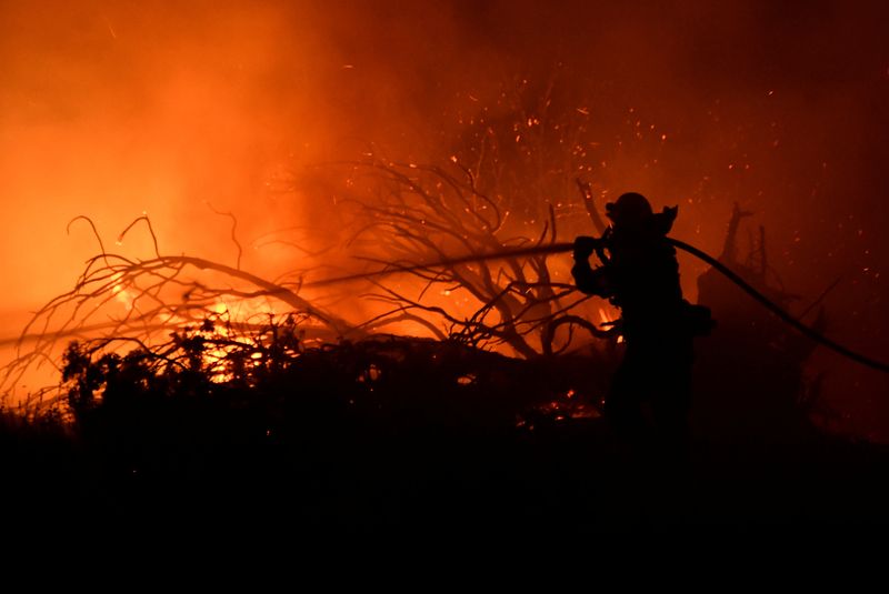&copy; Reuters. Los Angeles County firefighter holds back the flames to save homes Saturday morning from the Bobcat Fire in Juniper Hills, California, U.S., September 19, 2020.  REUTERS/Gene Blevins   