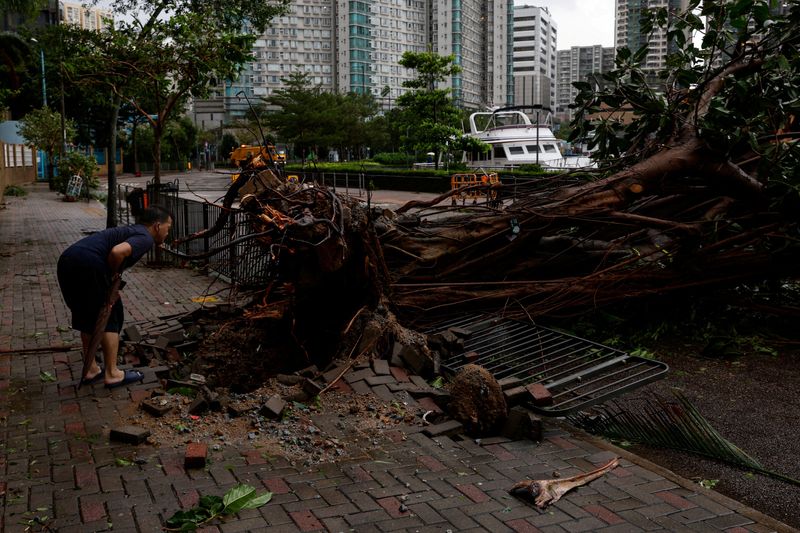 &copy; Reuters. رجل ينظر إلى جذع شجرة بعد سقوطها على إثر مرور إعصار ساولا في هونج كونج يوم السبت. تصوير: تيرون سيو - رويترز 
