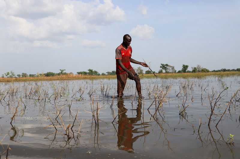 &copy; Reuters. Agricultor caminha por plantação de algodão alagada em Dana, Camarões
25/10/2022
REUTERS/Desire Danga Essigue