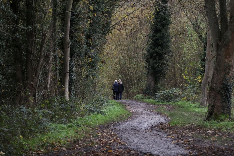 &copy; Reuters. Pensioners walk through woodland during lockdown amid the coronavirus (COVID-19) outbreak, in London, Britain, November 21, 2020.    REUTERS/Russell Boyce/File Photo
