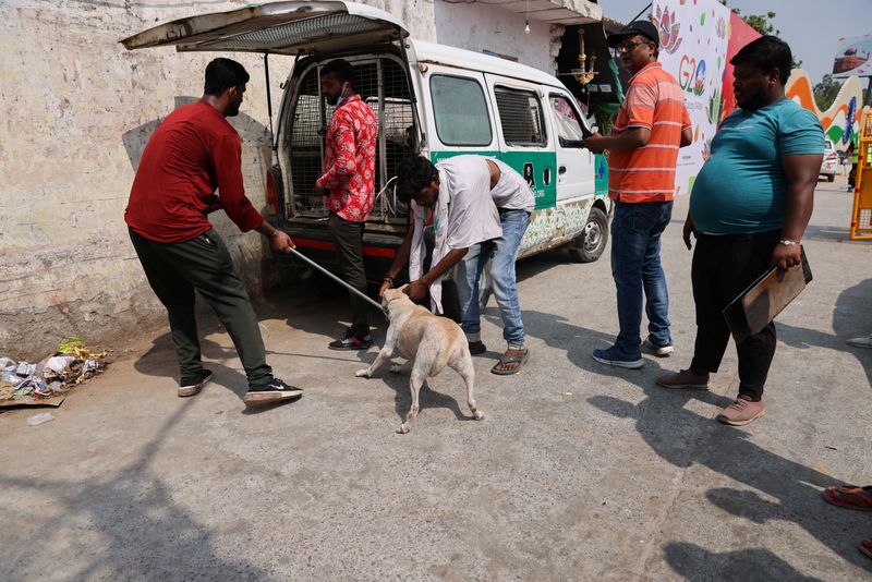 &copy; Reuters. مسؤول في بلدية دلهي يجر كلبا بالقرب من مطار أنديرا غاندي الدولي قبل قمة مجموعة العشرين في نيودلهي بالهند في الخامس من سبتمبر أيلول 2023. تصوير: