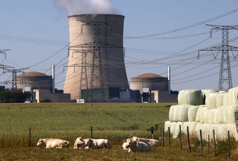 &copy; Reuters. A general view shows a cooling tower and reactors of the Electricite de France (EDF) nuclear power plant in Cattenom, France, June 13, 2023. REUTERS/Yves Herman/File photo