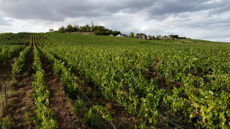 &copy; Reuters. FILE PHOTO: A view shows Champagne vineyards in the village of Chatillon-sur-Marne, France, August 23, 2022.  REUTERS/Pascal Rossignol/File Photo