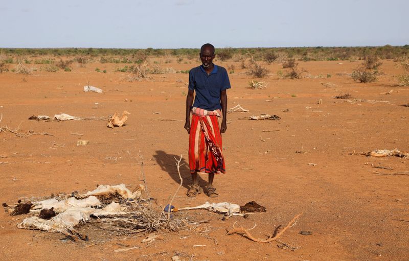 &copy; Reuters. 　米気候研究機関クライメート・セントラルは世界のほぼ全人口が６─８月に気候変動に起因する気温上昇を経験したと発表した。ソマリアで２０２２年５月撮影（２０２３年　ロイター／