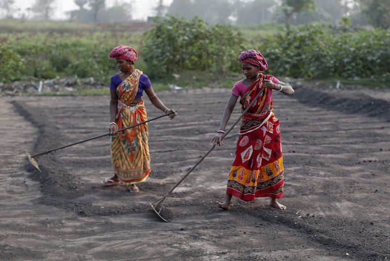 &copy; Reuters. Trabalhadoras em secagem de fertilizantes na Índia