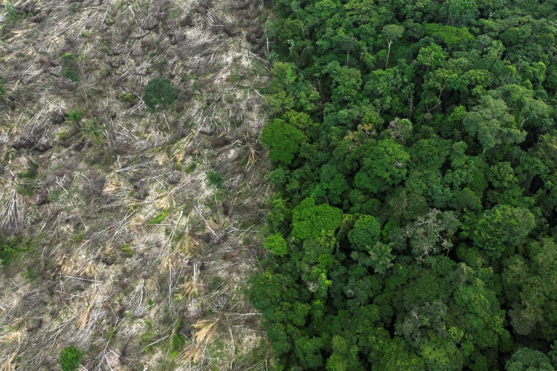 &copy; Reuters. Área desmatada da floresta amazônica no Pará
21/01/2023
REUTERS/Ueslei Marcelino/File Photo
