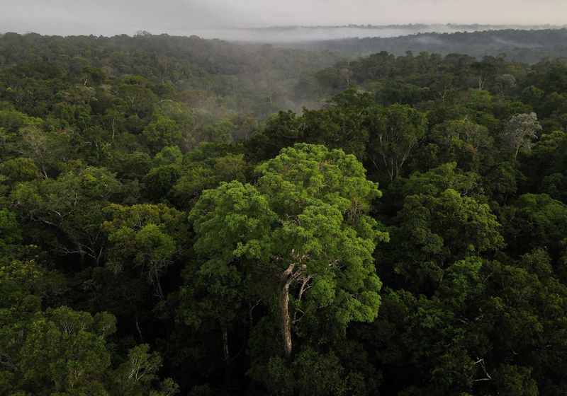 &copy; Reuters. Vista aérea da floresta amazônica em Manaus
26/10/2022 REUTERS/Bruno Kelly/Arquivo