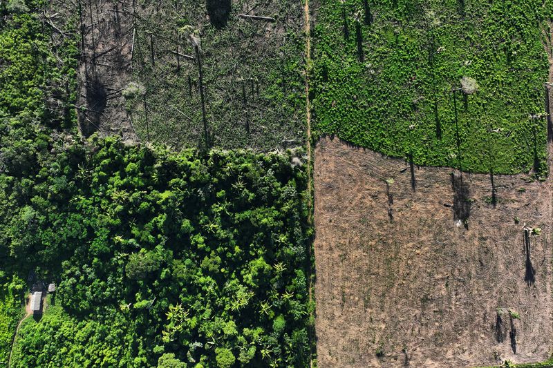 &copy; Reuters. FILE PHOTO: An aerial view shows a deforested area during an operation to combat deforestation at the Cachoeira Seca indigenous reserve, in Uruara, Para State, Brazil January 19, 2023. REUTERS/Ueslei Marcelino/File photo