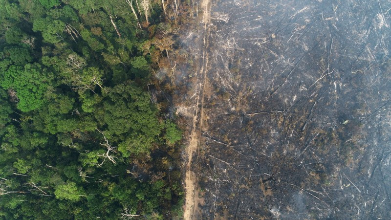 &copy; Reuters. FOTO DE ARCHIVO: Vista general de una extensión de la selva amazónica que arde al ser despejada por madereros y agricultores cerca de Apui, estado de Amazonas, Brasil. 11 de agosto de 2020. Imagen tomada con un dron. REUTERS/Ueslei Marcelino/