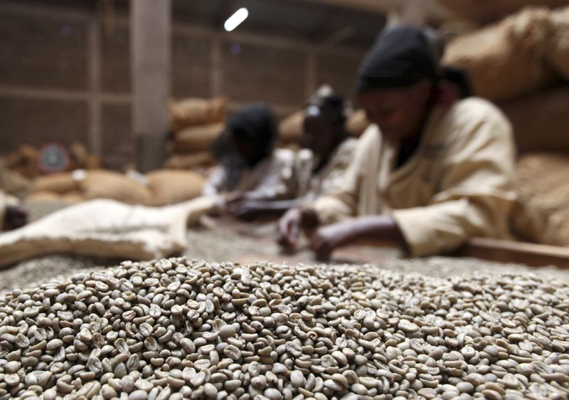 &copy; Reuters. Mulheres trabalham beneficiadora de café no Quênia
25/01/2011
REUTERS/Noor Khamis