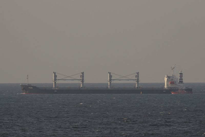 &copy; Reuters. Cayman Islands-flagged bulk carrier Puma leaves the sea port of Odesa, amid Russia's attack on Ukraine, in Ukraine September 15, 2023. REUTERS/Stringer