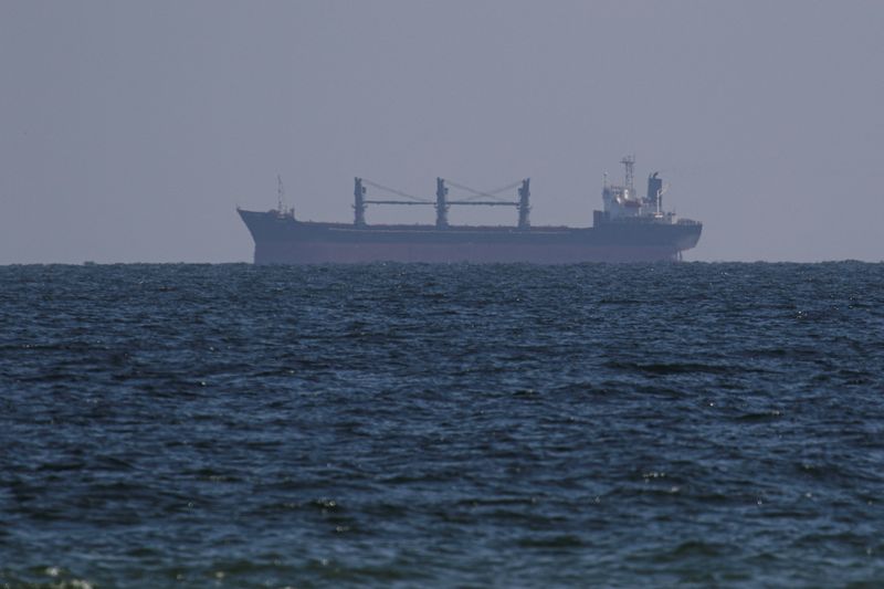 © Reuters. FILE PHOTO: Palau-flagged bulk carrier Aroyat arrives to the sea port of Chornomorsk for loading with grain, amid Russia's attack on Ukraine, near Odesa, Ukraine September 16, 2023. REUTERS/Stringer