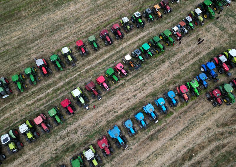 &copy; Reuters. Trattori degli agricoltori bulgari in protesta contro le misure contro le esportazioni del grano ucraino vicino a Sofia. 19 settembre 2023.  REUTERS/Stoyan Nenov