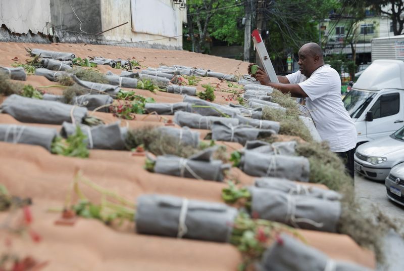 &copy; Reuters. Ativista ambiental Luís Cassiano, grava seu trabalho enquanto instala um "telhado verde" na favela do Arará, no Rio de Janeiro
14/09/2023 REUTERS/Ricardo Moraes