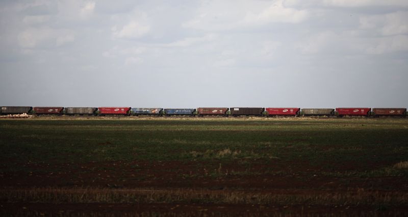 &copy; Reuters. Trem de carga em Alto Taquari, no Mato Grosso, a caminho do Porto de Santos
23/09/2012
REUTERS/Nacho Doce