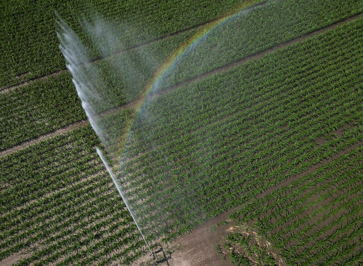 &copy; Reuters. Foto de archivo de un campo de maíz siendo regado en Vieillevigne, cerca de Nantes
 Jun 15, 2023. REUTERS/Stephane Mahe   