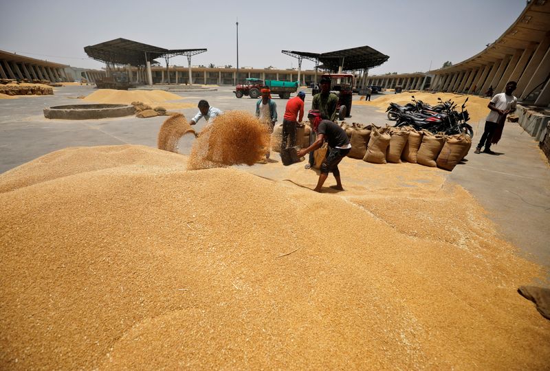 &copy; Reuters. FOTO DE ARCHIVO: Trabajadores llenando sacos con trigo en el patio del mercado del Comité de Comercialización de Productos Agrícolas (APMC) en las afueras de Ahmedabad, India. 16 de mayo de 2022. REUTERS/Amit Dave