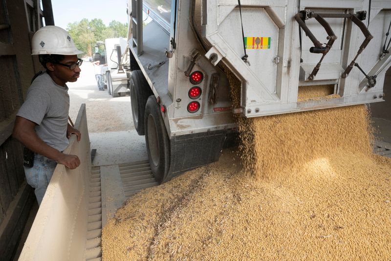 Exportaciones brasileñas de soja y maíz en septiembre ya superan mes completo de 2022, según Secex