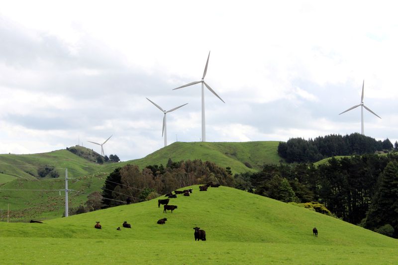 &copy; Reuters. Região de fazenda na Nova Zelândia
 30/10/2020   REUTERS/Praveen Menon