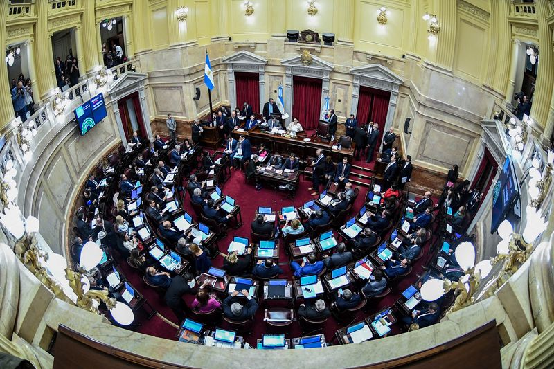 Argentina's senate passes bill to reduce taxes on high-income earners