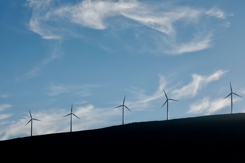 &copy; Reuters. Parque de energia eólica
11/08/2017
REUTERS/Paul Hanna
