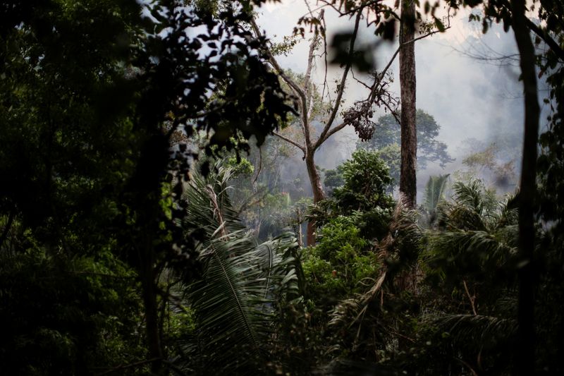 &copy; Reuters. Área da floresta amazônica perto de Ouro Preto, Rondônia
20/08/2019
REUTERS/Ueslei Marcelino