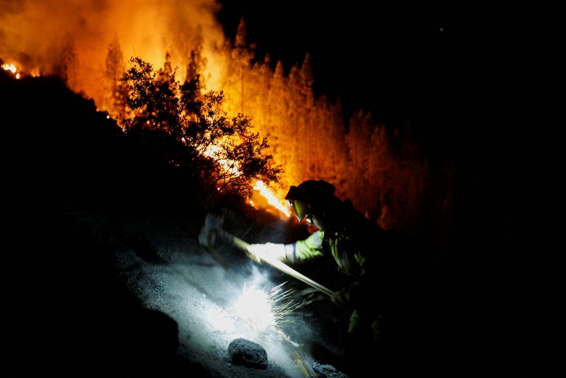 &copy; Reuters. رجال الإطفاء يعملون في موقع حريق بجزر الكناري بإسبانيا يوم 16 أغسطس آب 2023. تصوير: بورخا سواريز - رويترز.