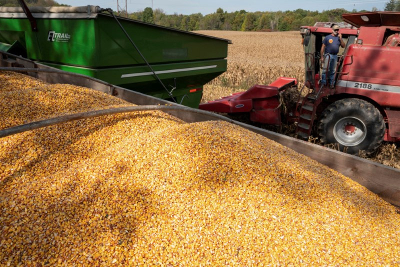 &copy; Reuters. FOTO DE ARCHIVO: Don Nething, de 62 años, cosecha maíz en Ravenna, Ohio, Estados Unidos. 11 de octubre, 2021. REUTERS/Dane Rhys/Archivo