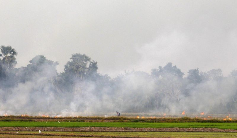 &copy; Reuters. مزارع يحرق حقل أرز لتطهير الأرض لمحصول جديد في مقاطعة ناخونساوان في تايلاند في صورة من أرشيف رويترز.