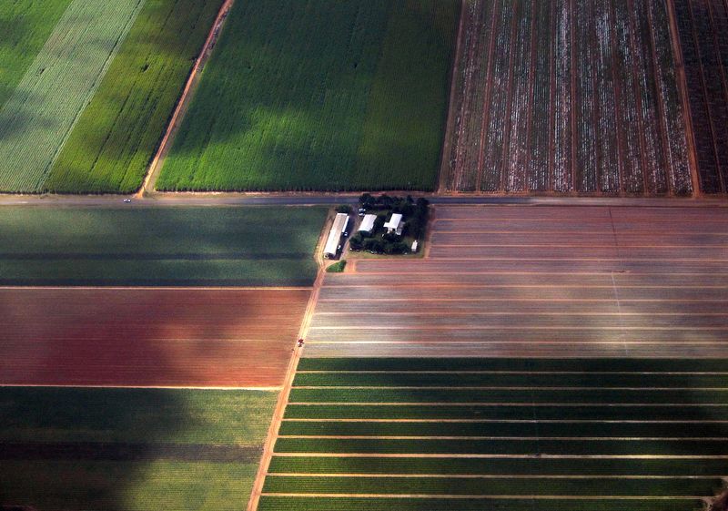 &copy; Reuters.  １０月６日、国連食糧機関（ＦＡＯ）が発表した９月の世界の食料価格指数は前月からほぼ横ばいとなった。写真はオーストラリアの農村地帯。２０１５年６月撮影（２０２３年　ロイタ