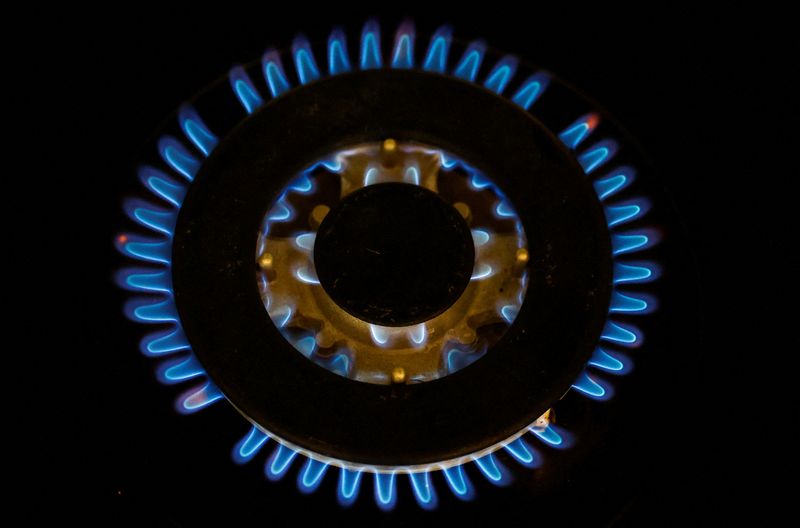 &copy; Reuters. Flames from a gas burner on a cooker are pictured in a private home in this illustration picture taken June 27, 2022. REUTERS/Stephane Mahe/Illustration
