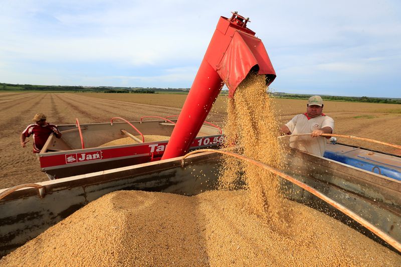 &copy; Reuters. Foto de archivo de una cosecha de soja en Caaguazu, Paraguay 
Febr 17, 2020. REUTERS/Jorge Adorno