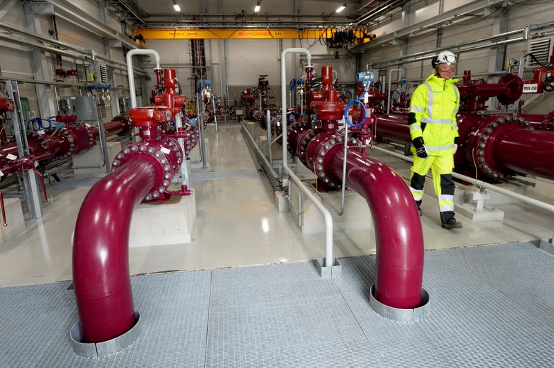 &copy; Reuters. FILE PHOTO: Compression station of the Balticconnector marine gas pipeline is pictured in Inkoo, Finland on November 5, 2019. Lehtikuva/Mikko Stig/via REUTERS/File Photo      