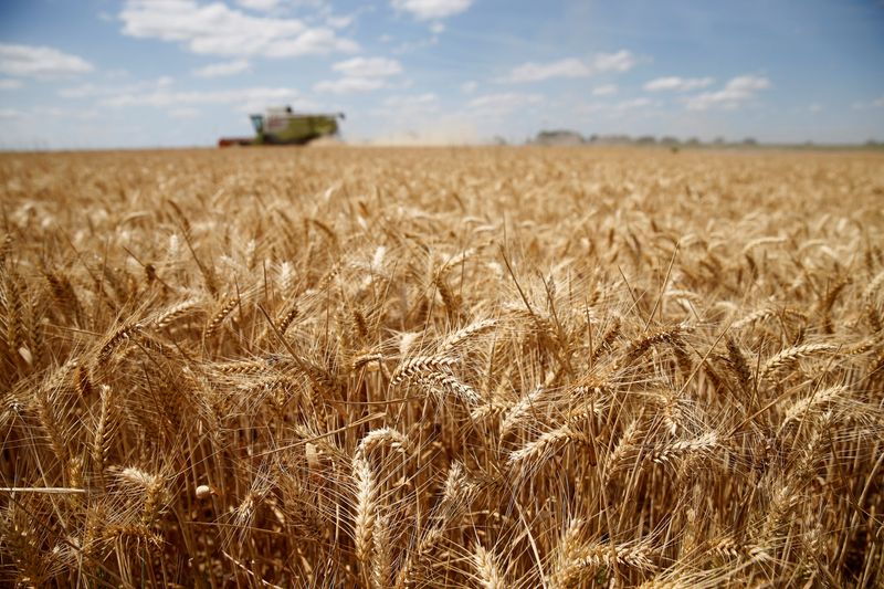 &copy; Reuters. FOTO DE ARCHIVO. Un agricultor francés cosecha trigo en Sancourt, Francia. 17 de julio de 2018. REUTERS/Pascal Rossignol