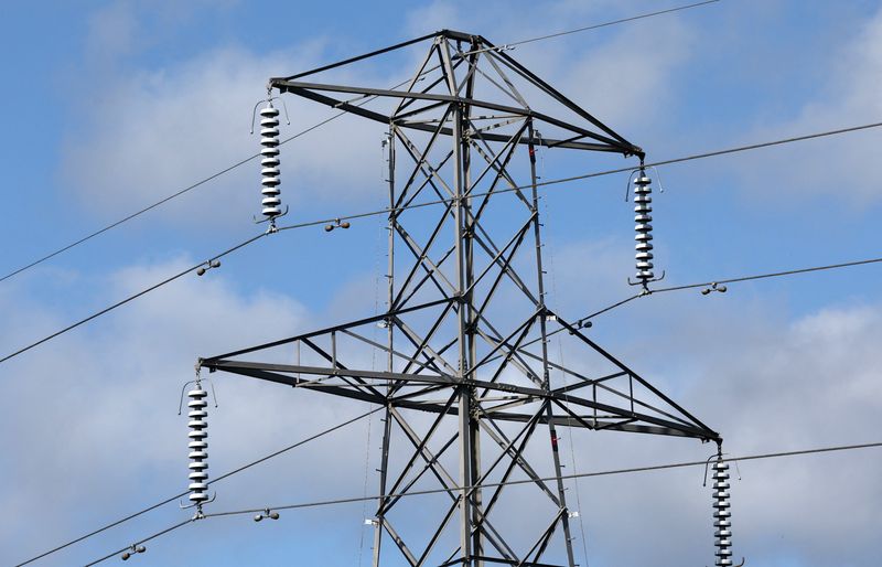 &copy; Reuters. FILE PHOTO: Electricity pylons run through fields near Amersham, Britain, September 29, 2023. REUTERS/Toby Melville/File Photo