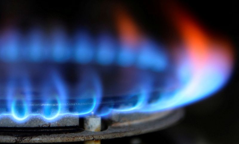 © Reuters. FILE PHOTO: A gas cooker is seen in Boroughbridge, northern England in this November 13, 2012 file photograph. REUTERS/Nigel Roddis