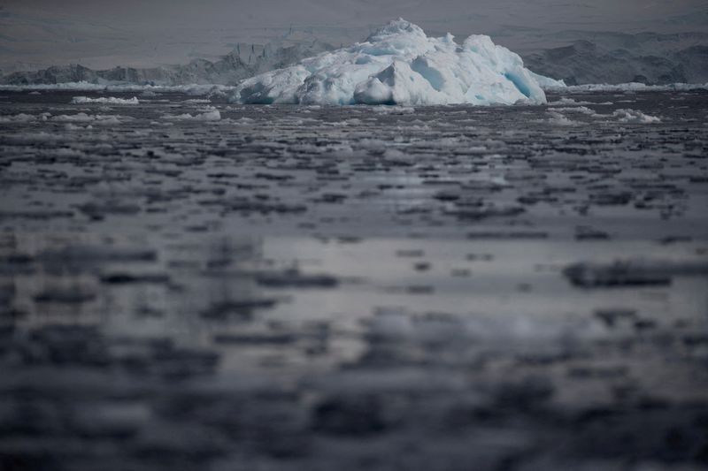 &copy; Reuters. Icebergs flutuando perto da Baía Fournier, na Antártida
3/2/2020 REUTERS/Ueslei Marcelino/Arquivo