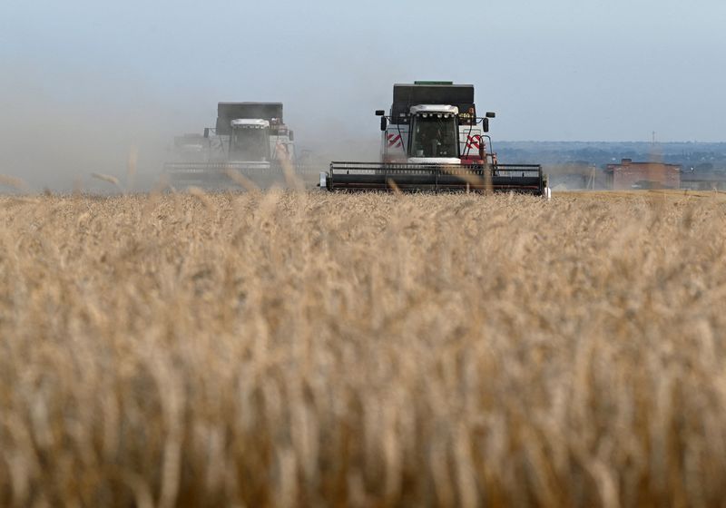 © Reuters. FILE PHOTO: Combines harvest wheat in a field in the Rostov Region, Russia July 18, 2023. REUTERS/Sergey Pivovarov/File Photo