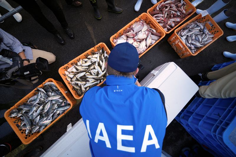 &copy; Reuters. Especialista da Agência Internacional de Energia Atômica observa amostras de peixes coletadas no porto de Hisanohama, no Japão
19/10/2023 Eugene Hoshiko/Pool via REUTERS