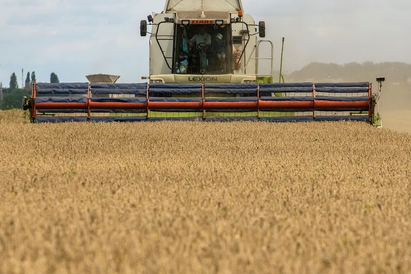 &copy; Reuters. 　１０月２３日、ウクライナの農産物生産者は新たな黒海回廊により、月に最大２５０万トンの食料輸出が可能になると述べた。写真は小麦を刈り入れるコンバイン。ウクライナのキーウ地