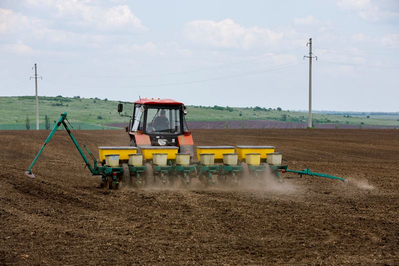 &copy; Reuters. FOTO DE ARCHIVO: Un agricultor maneja un tractor mientras siembra semillas de girasol y fertiliza un campo en el transcurso del conflicto entre Rusia y Ucrania cerca de Starobésheve en la región de Donetsk, Ucrania controlada por Rusia. 19 de mayo, 2023