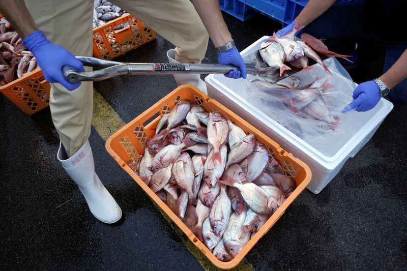 &copy; Reuters. 主要７カ国（Ｇ７）は大阪で開いた貿易相会合後の声明で、日本産食品に対する輸入制限の即時撤廃を求めた。写真はいわき市の久之浜漁港で１９日、ＩＡＥＡの専門家と中国、韓国、カナ