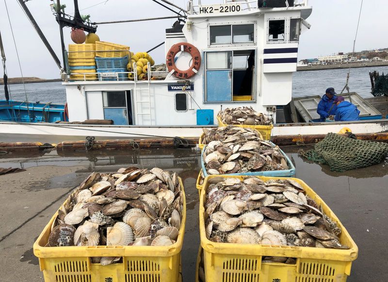 © Reuters. Fishermen land scallops at Nemuro Port, in Nemuro on Japan's northern island of Hokkaido April 12, 2022. REUTERS/Daniel Leussink/File photo