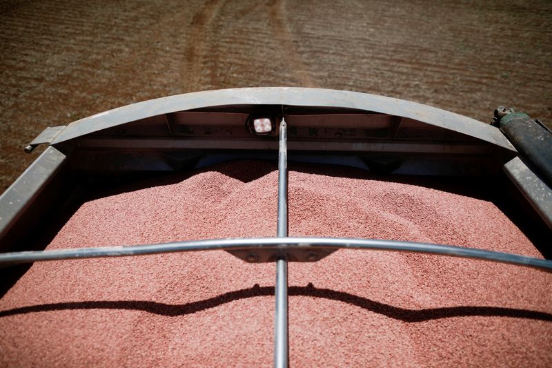 &copy; Reuters. Trator transporta fertilizante em plantação de soja perto de Brasília
15/02/2022 REUTERS/Adriano Machado