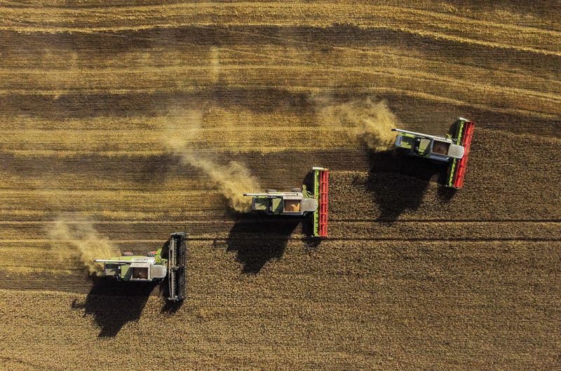 &copy; Reuters. FOTO DE ARCHIVO: Segadoras cosechan trigo en un campo de una empresa agrícola local en el distrito de Cherlaksky de la región de Omsk, Rusia. 8 de septiembre, 2023. REUTERS/Alexey Malgavko