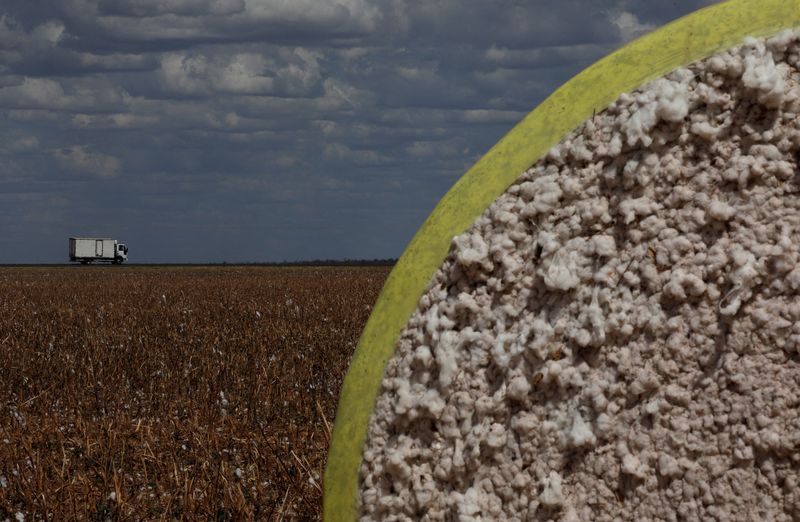 Sustainable cotton group boosts tracking for top retailers